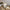 Bougie — Nougat Blanc 160g