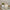Bougie — Nougat Blanc 160g